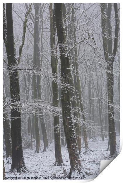 Winter Woods Print by Simon Johnson