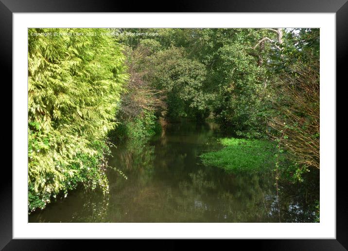 The River Framed Mounted Print by Nicola Clark