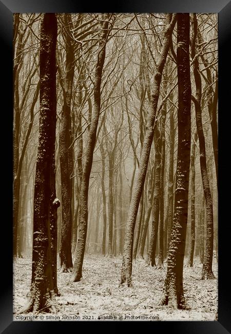 Winter woodland Framed Print by Simon Johnson