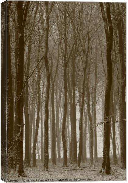 Beech wood winter Canvas Print by Simon Johnson