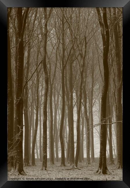 Beech wood winter Framed Print by Simon Johnson
