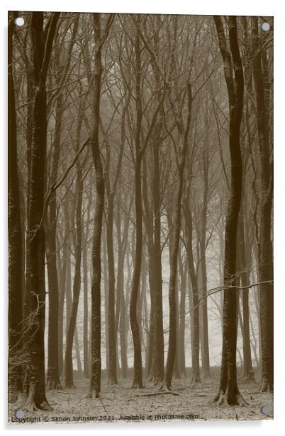 Beech wood winter Acrylic by Simon Johnson