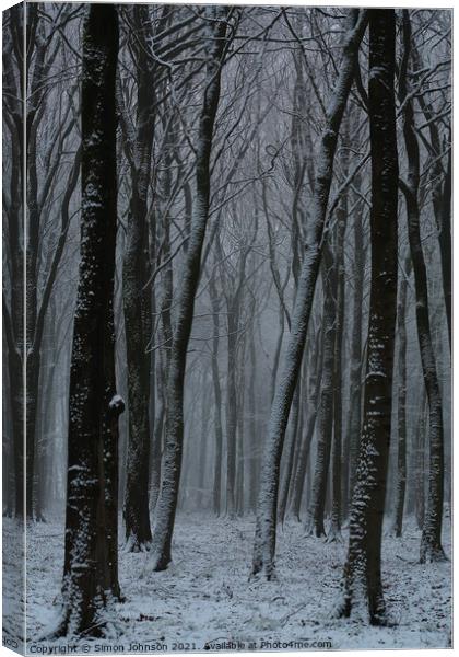 Winter woodland Canvas Print by Simon Johnson