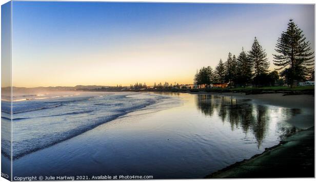 Waikanae Beach Canvas Print by Julie Hartwig