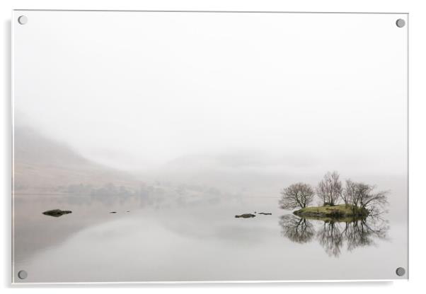 Winter's mist Acrylic by Gary Finnigan