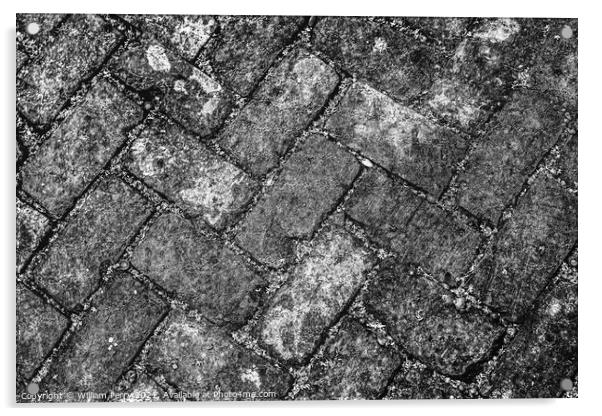 Black White Sidewalk Bricks Garden District New Orleans Louisian Acrylic by William Perry