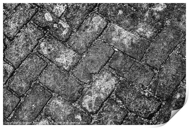 Black White Sidewalk Bricks Garden District New Orleans Louisian Print by William Perry
