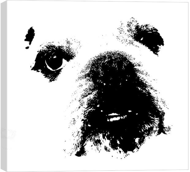 Bulldog Canvas Print by Karen Martin
