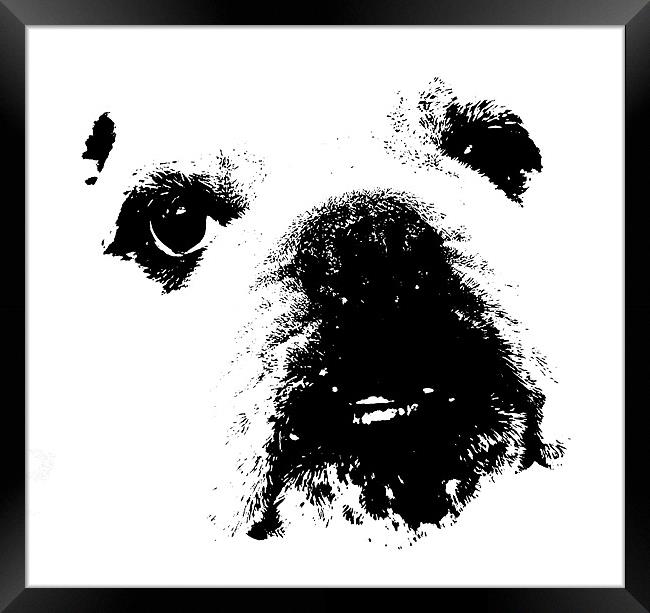 Bulldog Framed Print by Karen Martin