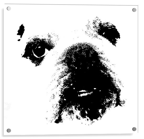 Bulldog Acrylic by Karen Martin