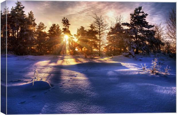 Winter Sunrise Canvas Print by Steffen Gierok-Latniak