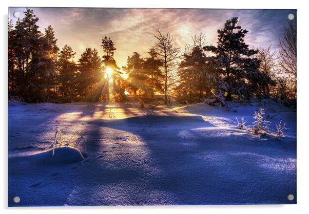 Winter Sunrise Acrylic by Steffen Gierok-Latniak