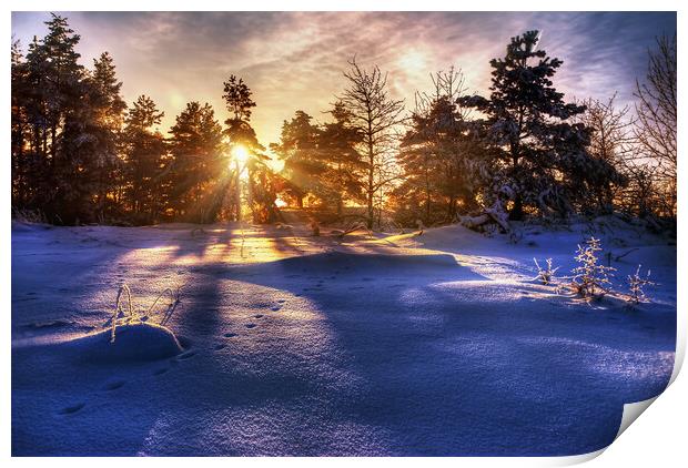 Winter Sunrise Print by Steffen Gierok-Latniak