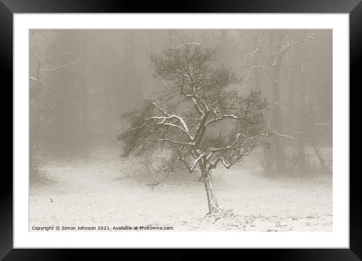 Winter morning Framed Mounted Print by Simon Johnson