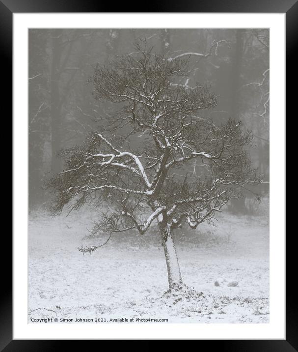 Winter tree Framed Mounted Print by Simon Johnson