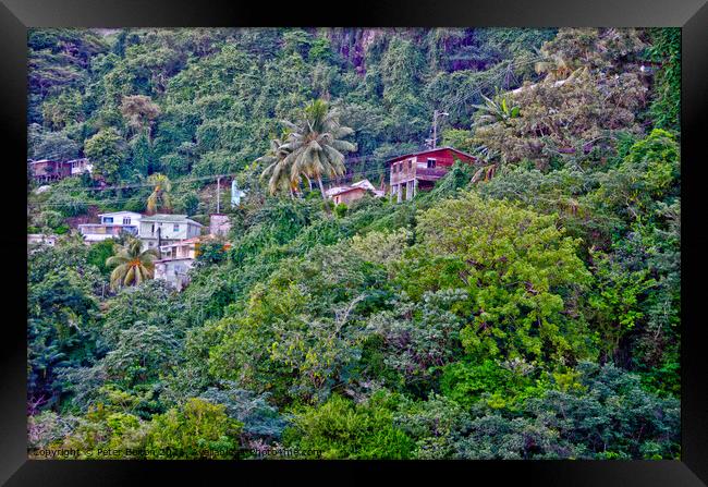 Houses on the slopes of a heavily wooded hill, Barbados. Framed Print by Peter Bolton