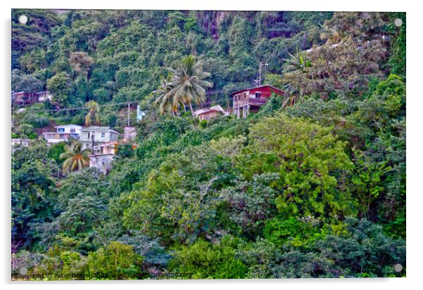 Houses on the slopes of a heavily wooded hill, Barbados. Acrylic by Peter Bolton