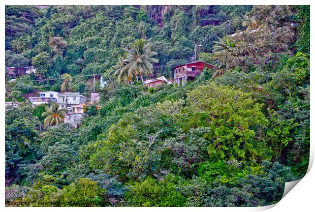 Houses on the slopes of a heavily wooded hill, Barbados. Print by Peter Bolton