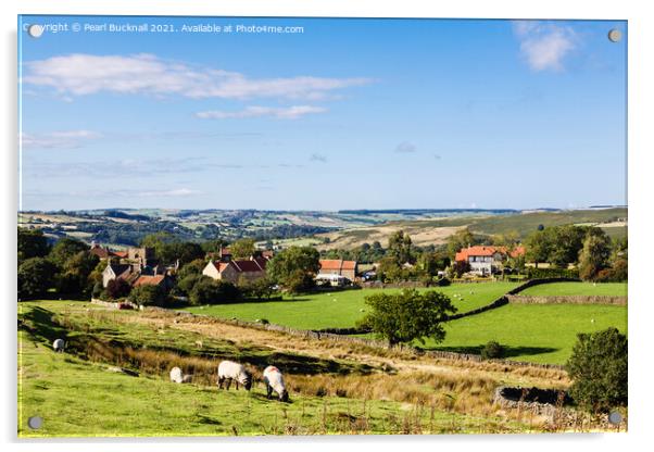 Goathland North Yorkshire Moors Acrylic by Pearl Bucknall