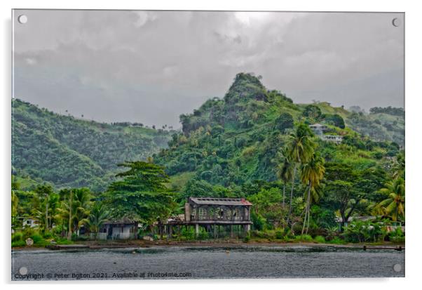 Abandoned huts on the coast, Near Kingstown, St. Vincent. Acrylic by Peter Bolton