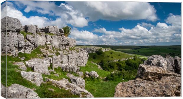Majestic Limestone Outcrop Canvas Print by Wendy Williams CPAGB