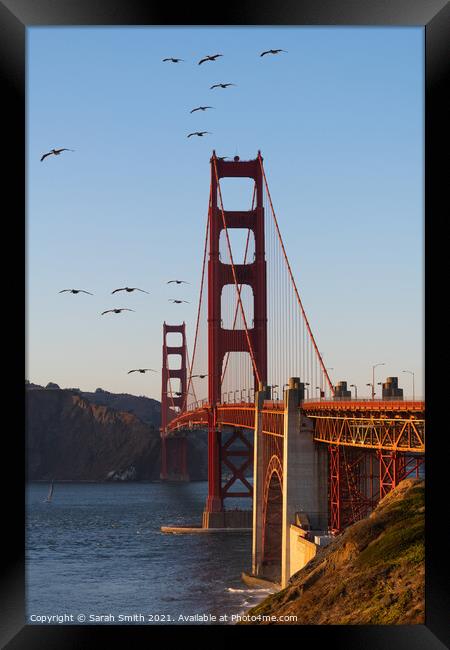 Golden Gate Bridge at Sunset Framed Print by Sarah Smith