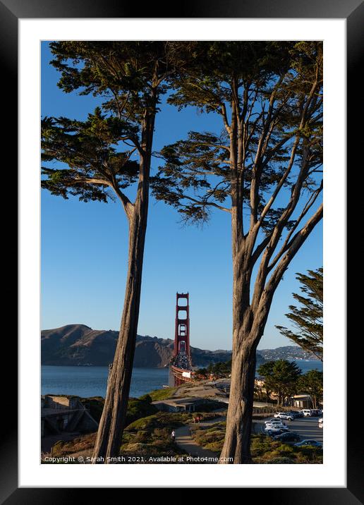 The Golden Gate Bridge Captured Through Cypress Trees Framed Mounted Print by Sarah Smith
