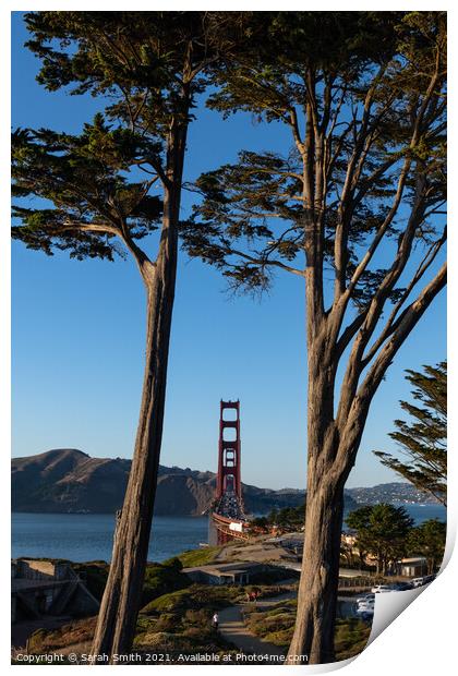 The Golden Gate Bridge Captured Through Cypress Trees Print by Sarah Smith