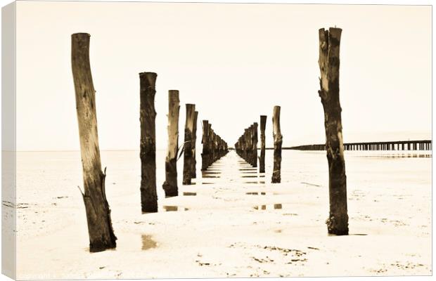 Wooden pillars at low tide Canvas Print by Sandra Broenimann
