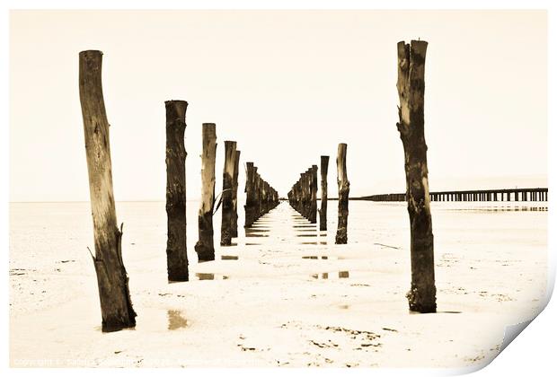Wooden pillars at low tide Print by Sandra Broenimann