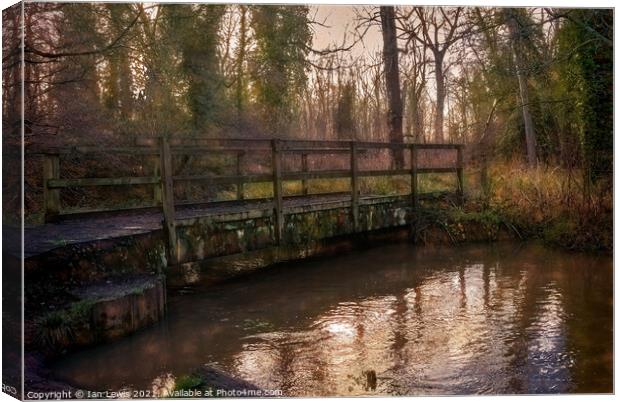 Woodland Bridge Over The River Pang Canvas Print by Ian Lewis