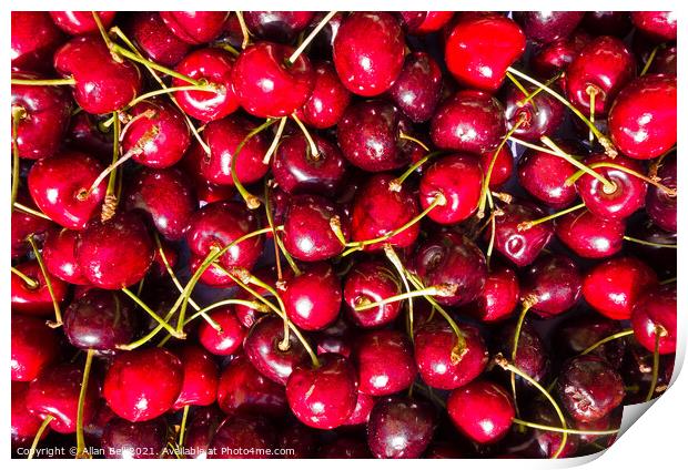 Red Cherries Print by Allan Bell