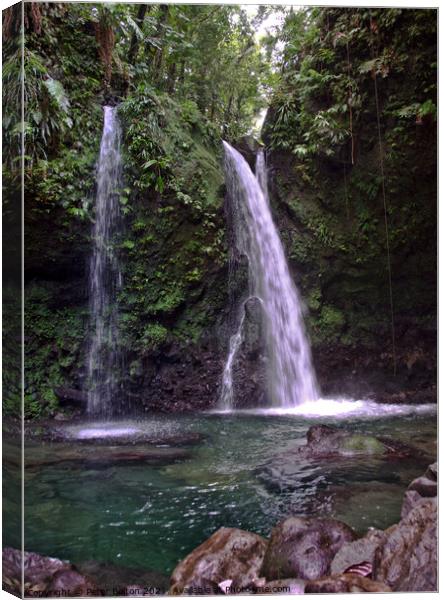 Hibiscus Waterfalls, North Dominica, Caribbean. Canvas Print by Peter Bolton