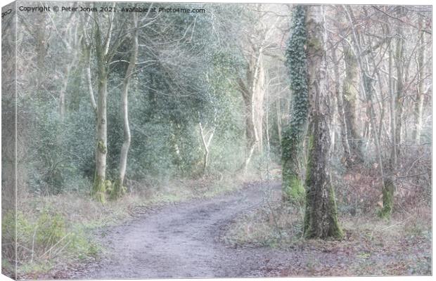Woodland Path. Canvas Print by Peter Jones