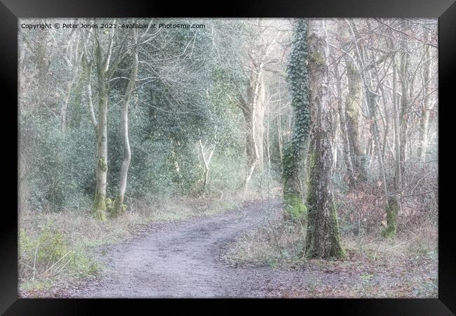 Woodland Path. Framed Print by Peter Jones