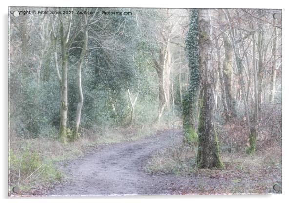 Woodland Path. Acrylic by Peter Jones