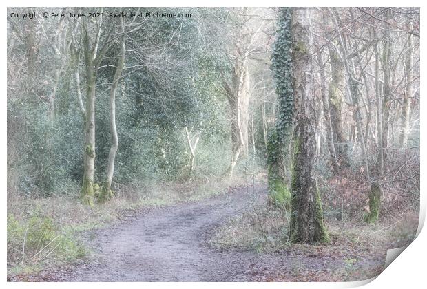 Woodland Path. Print by Peter Jones
