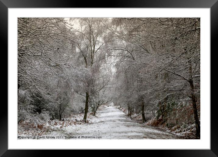 Snowy Woodland Walk No.6 Framed Mounted Print by David Tinsley