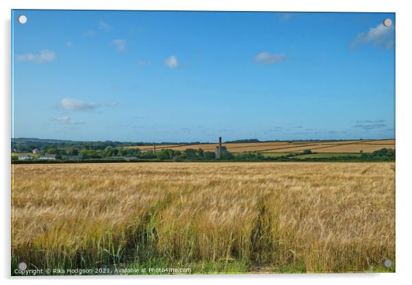 Wheat Fields, Goldsithney, West Cornwall Acrylic by Rika Hodgson