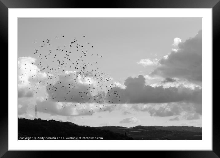Sky cloud with  flock of birds in Sicily, Serradif Framed Mounted Print by Andy Huckleberry Williamson III