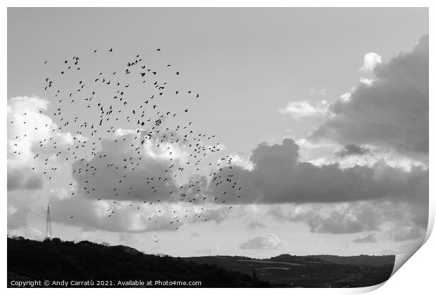 Sky cloud with  flock of birds in Sicily, Serradif Print by Andy Huckleberry Williamson III