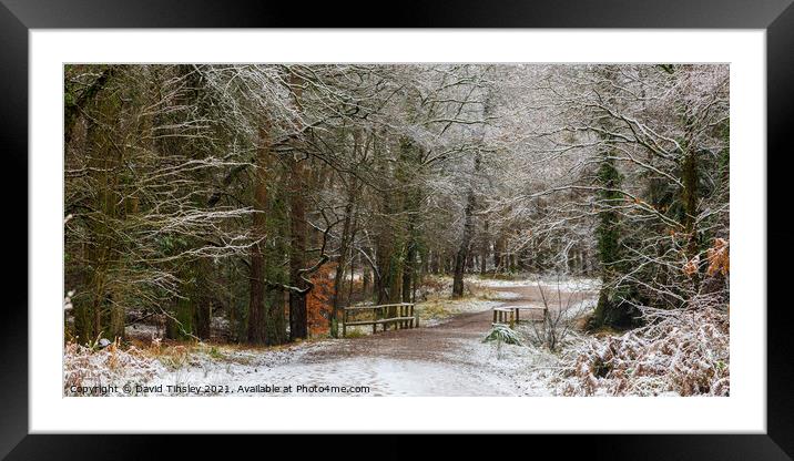 Snowy Woodland Walk No.9 Framed Mounted Print by David Tinsley