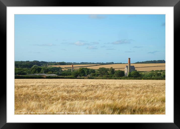 Wheat fields, Goldsithney, Cornwall, England Framed Mounted Print by Rika Hodgson