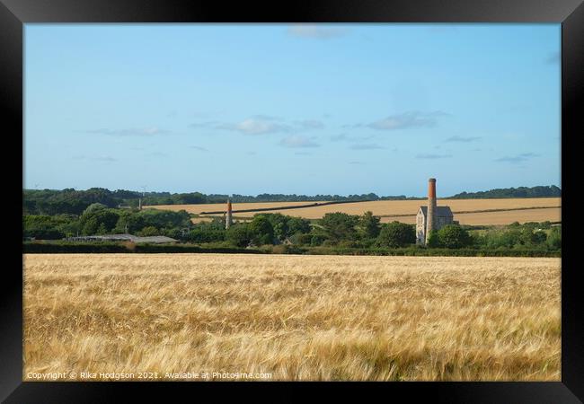 Wheat fields, Goldsithney, Cornwall, England Framed Print by Rika Hodgson