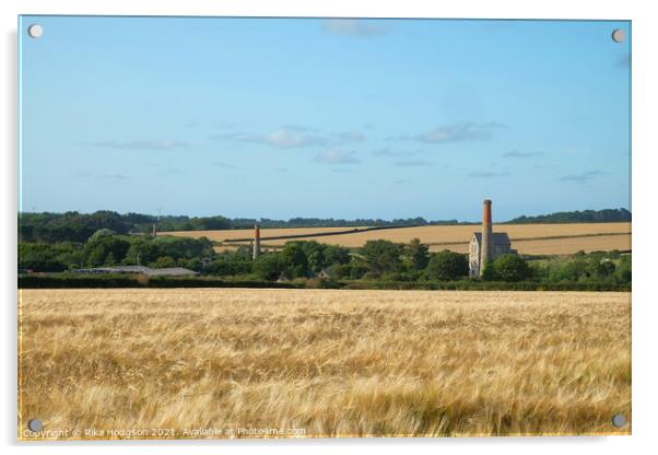 Wheat fields, Goldsithney, Cornwall, England Acrylic by Rika Hodgson