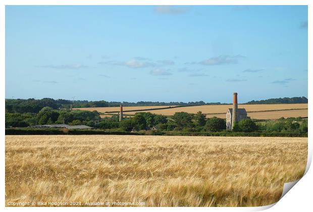 Wheat fields, Goldsithney, Cornwall, England Print by Rika Hodgson