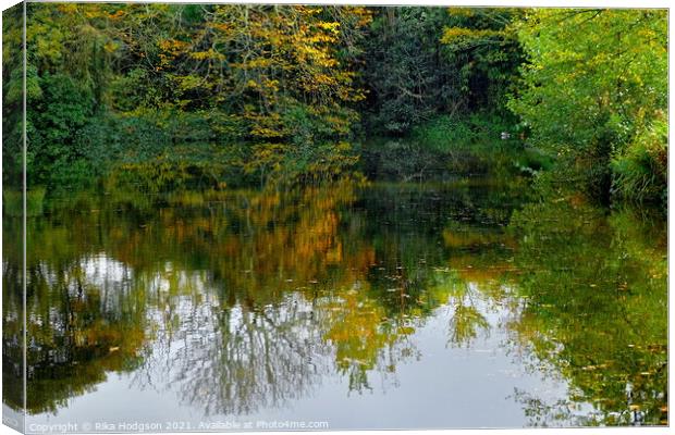 Reflection in Pond, Hayle, Cornwall Canvas Print by Rika Hodgson