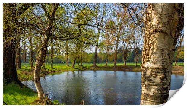 Phoenix Park, Dublin, Ireland Print by Mark Llewellyn