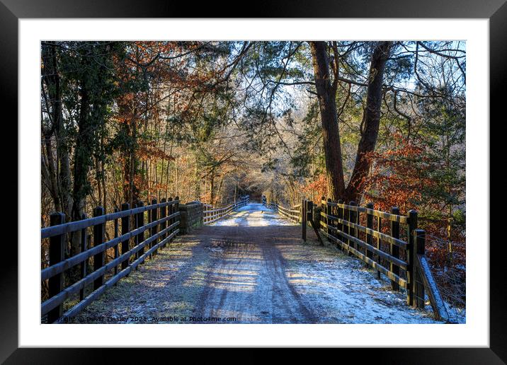 Central Bridge in Winter Framed Mounted Print by David Tinsley