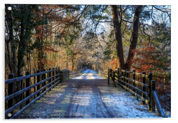 Central Bridge in Winter Acrylic by David Tinsley